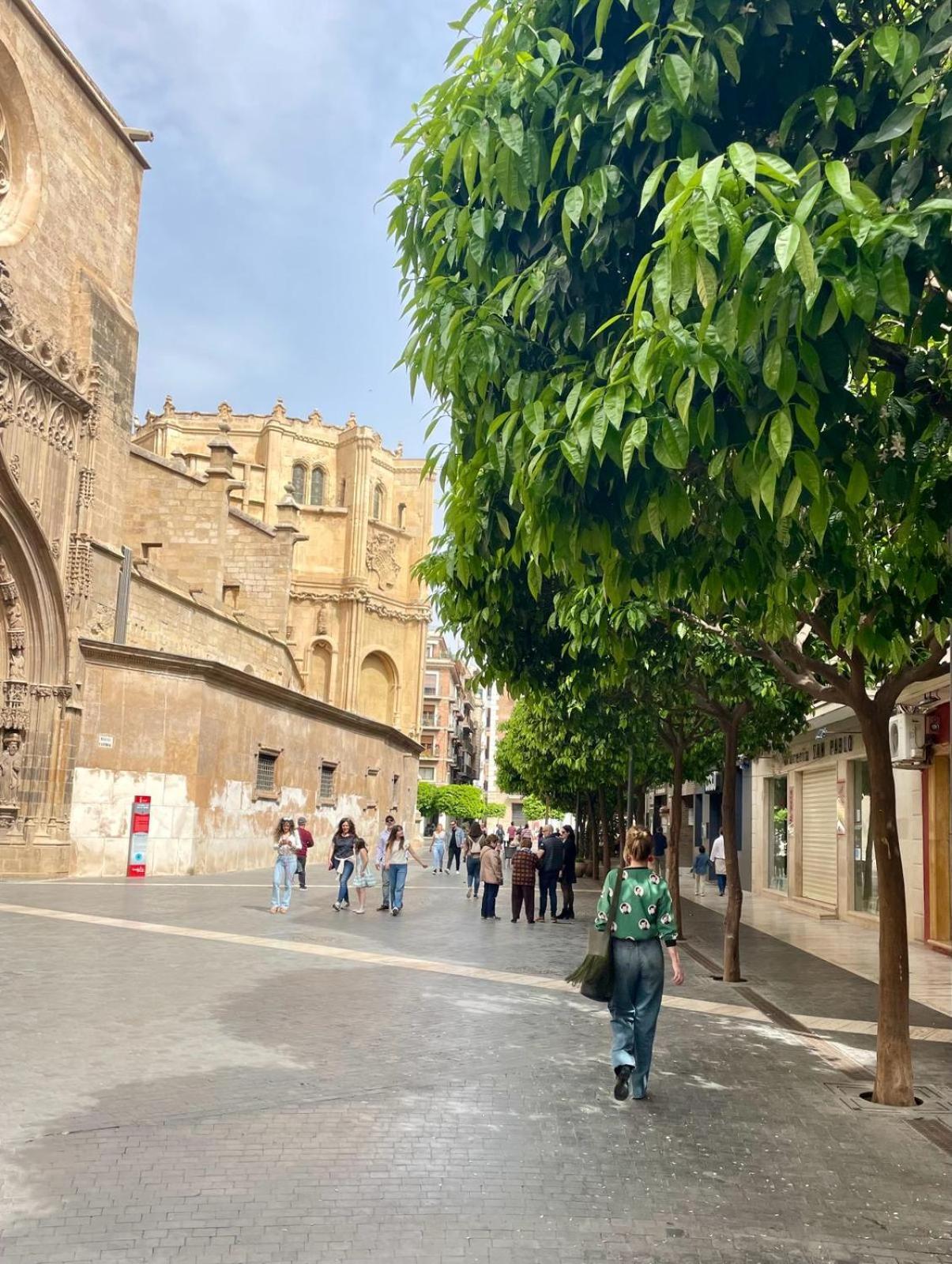 Estudio Plateria Centro Historico 무르시아 외부 사진